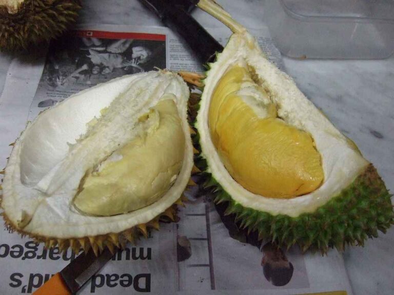 bahaya-durian-doktersehat-696x522.jpg