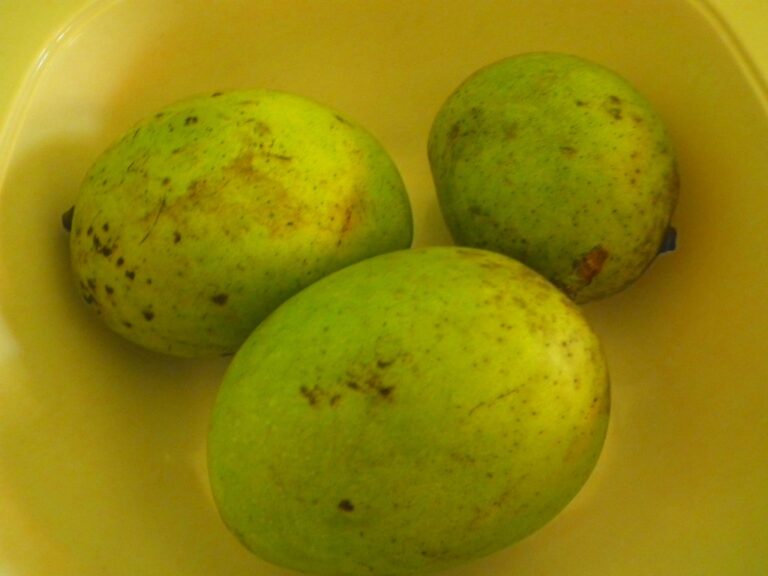 manfaat-buah-bacang-doktersehat-696x522.jpg