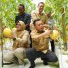 Al Haris melaksanakan panen perdana melon premium di Screen House Modern Hortikultura.
