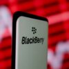 Blackberry kembali marak di kalangan GenZ.