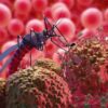 Ilustrasi Nyamuk Aedes Aegypti, Penyebab DBD