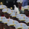 Momen Unik, Merpati Hinggap di Pasukan Upacara di Istana Merdeka