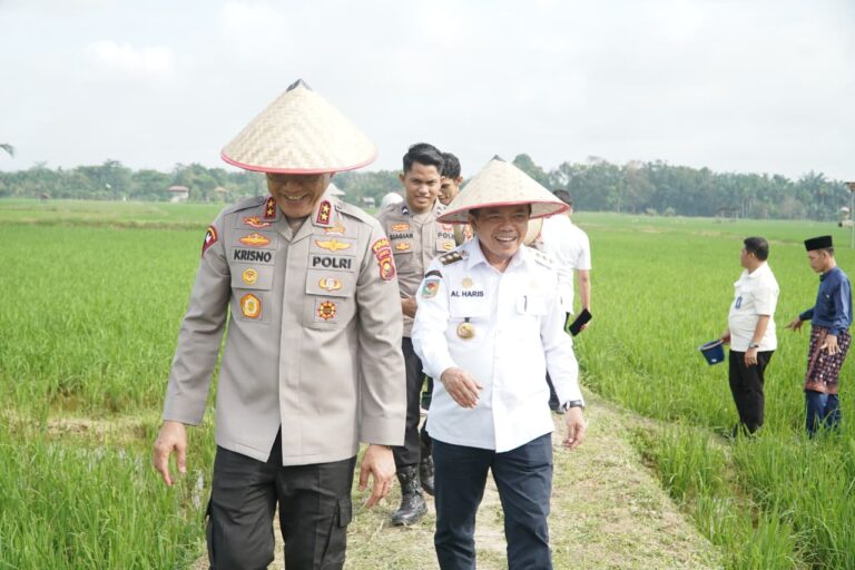 IMG-20260108-WA0000