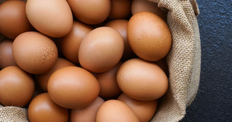 telur ayam
