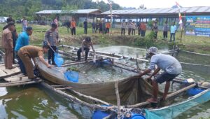 Sulap Lahan Bekas PETI Jadi Kolam Ikan, Aksi Humanis Kapolsek Tabir Ulu Tuai Pujian