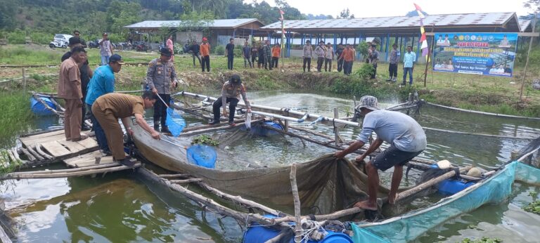 Sulap Lahan Bekas PETI Jadi Kolam Ikan, Aksi Humanis Kapolsek Tabir Ulu Tuai Pujian