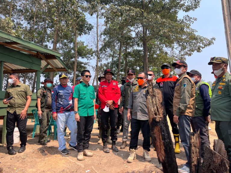 Gubernur Al Haris Pantau Karhutla Tahura di Batang Hari, Dua Waterbombing Disiapkan
