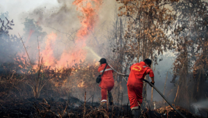Pemerintah Gelontorkan Bantuan Rp240 Miliar untuk Penanganan Karhutla di Kalimantan Barat