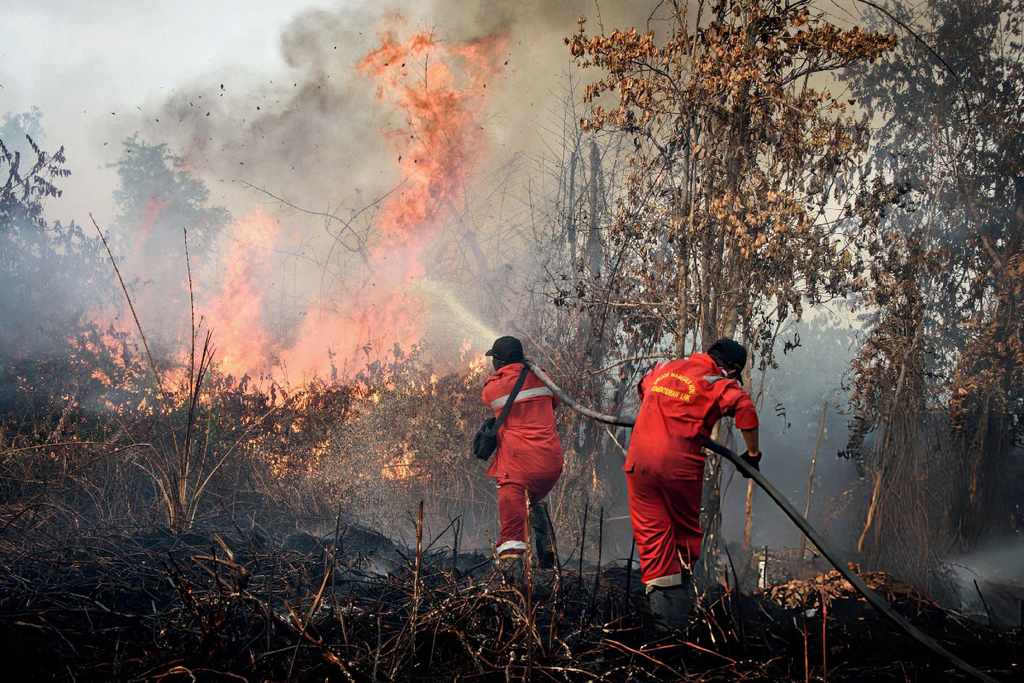 Pemerintah Gelontorkan Bantuan Rp240 Miliar untuk Penanganan Karhutla di Kalimantan Barat